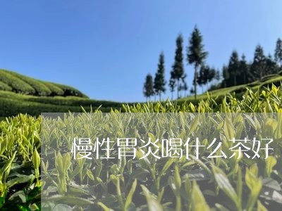 慢性胃炎喝什么茶好/2023041503826