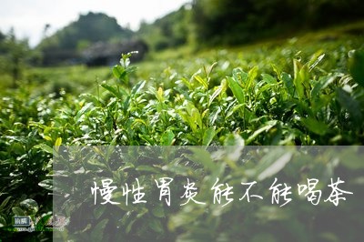 慢性胃炎能不能喝茶/2023041673825