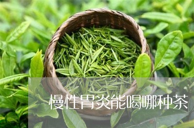 慢性胃炎能喝哪种茶/2023041504858