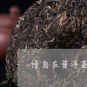 慢自在普洱茶生茶/2023031696048