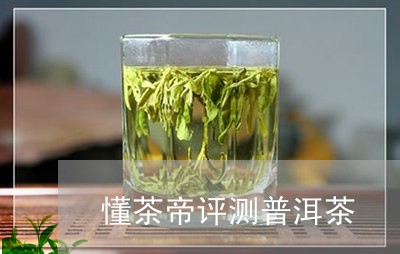 懂茶帝评测普洱茶/2023041106147