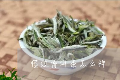 懂过普洱茶怎么样/2023031892935