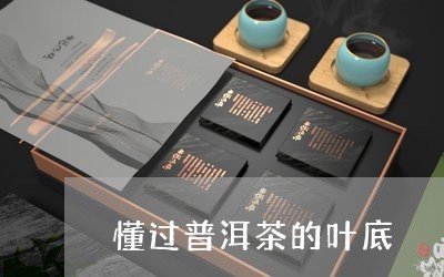 懂过普洱茶的叶底/2023033157391