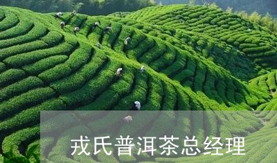 戎氏普洱茶总经理/2023040169484