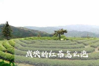 成块的红茶怎么泡/2023032367280