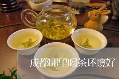 成都哪里喝茶环境好/2023032080390