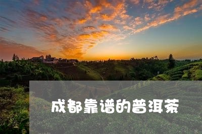 成都靠谱的普洱茶/2023040118373