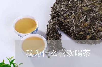 我为什么喜欢喝茶/2023032585958