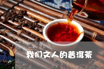 我们文人的普洱茶/2023031699582