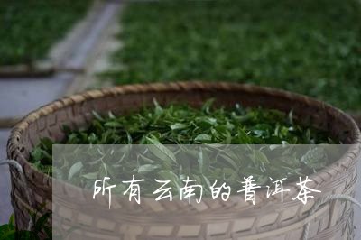 所有云南的普洱茶/2023040947250