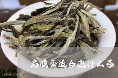 扁腹壶适合泡什么茶/2023031911604