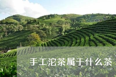 手工沱茶属于什么茶/2023041628280