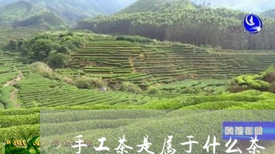 手工茶是属于什么茶/2023041527949