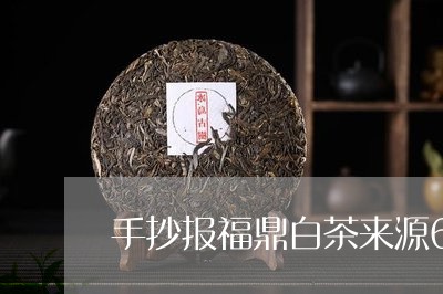 手抄报福鼎白茶来源60字/2023033185059