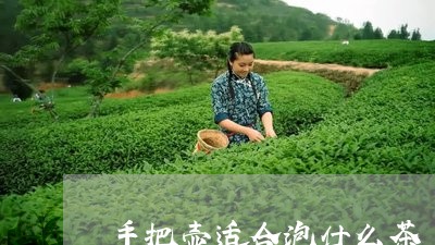 手把壶适合泡什么茶/2023032091814