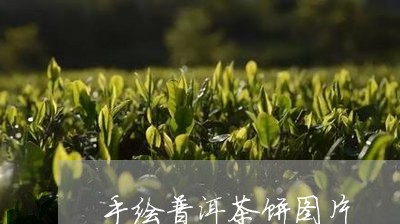 手绘普洱茶饼图片/2023041092517