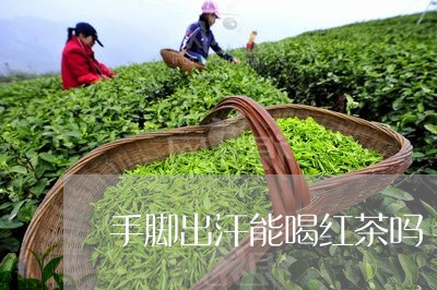 手脚出汗能喝红茶吗/2023041545170