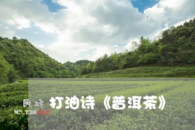 打油诗《普洱茶》/2023040960635