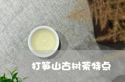 打笋山古树茶特点/2023032682814