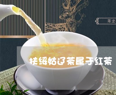 扶绥姑辽茶属于红茶/2023031969504