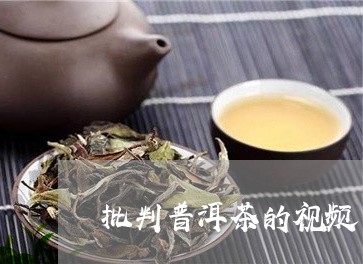 批判普洱茶的视频/2023041096159