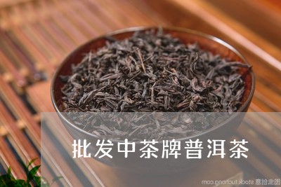 批发中茶牌普洱茶/2023041104079