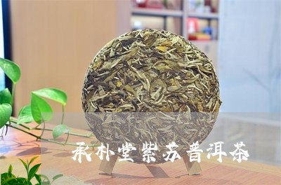 承朴堂紫苏普洱茶/2023033171723