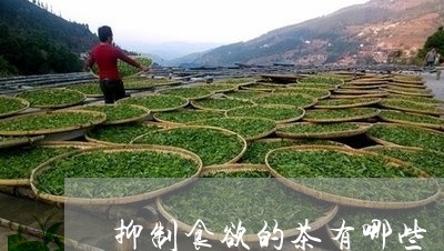 抑制食欲的茶有哪些/2023041670514