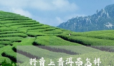 抖音上普洱茶怎样/2023031714071