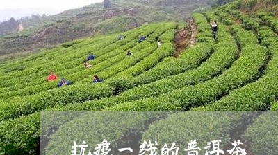 抗疫一线的普洱茶/2023033034158