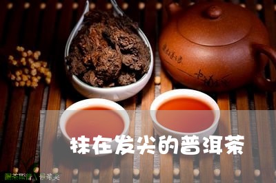 抹在发尖的普洱茶/2023033107939