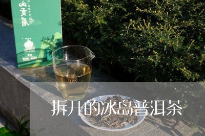 拆开的冰岛普洱茶/2023041290936