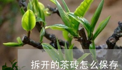 拆开的茶砖怎么保存/2023041604716