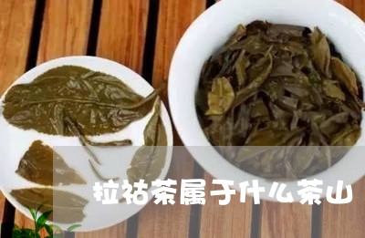 拉祜茶属于什么茶山/2023032095059