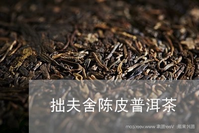 拙夫舍陈皮普洱茶/2023031665041