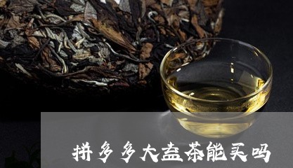 拼多多大益茶能买吗/2023032149605