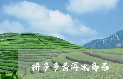 拼多多普洱冰岛茶/2023033054947