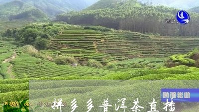 拼多多普洱茶直播/2023031617502