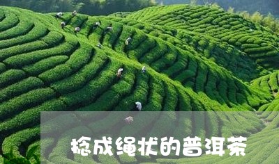 捻成绳状的普洱茶/2023033102925