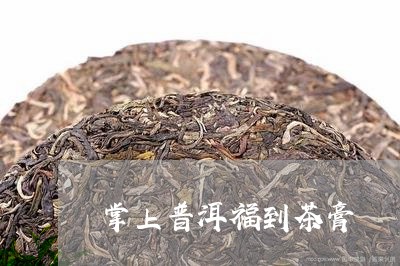 掌上普洱福到茶膏/2023032952606