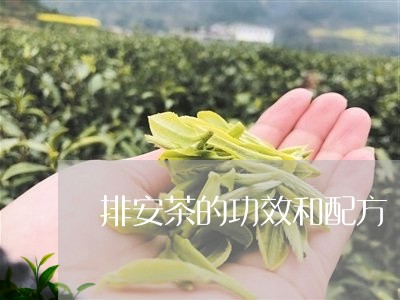 排安茶的功效和配方/2023041776828