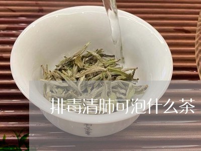 排毒清肺可泡什么茶/2023041521915