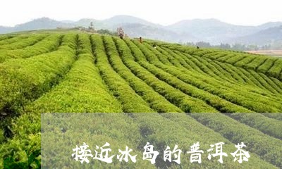 接近冰岛的普洱茶/2023031773947