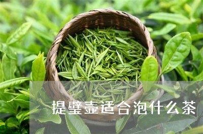 提璧壶适合泡什么茶/2023041597260