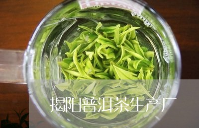 揭阳普洱茶生产厂/2023040194127