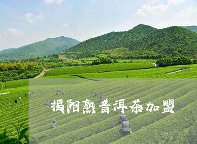 揭阳熟普洱茶加盟/2023032972726