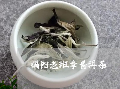 揭阳老班章普洱茶/2023031768150