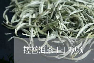 搓普洱茶手工视频/2023040901603