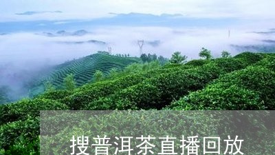 搜普洱茶直播回放/2023031730625