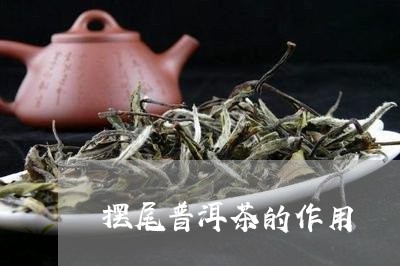 摆尾普洱茶的作用/2023040984937